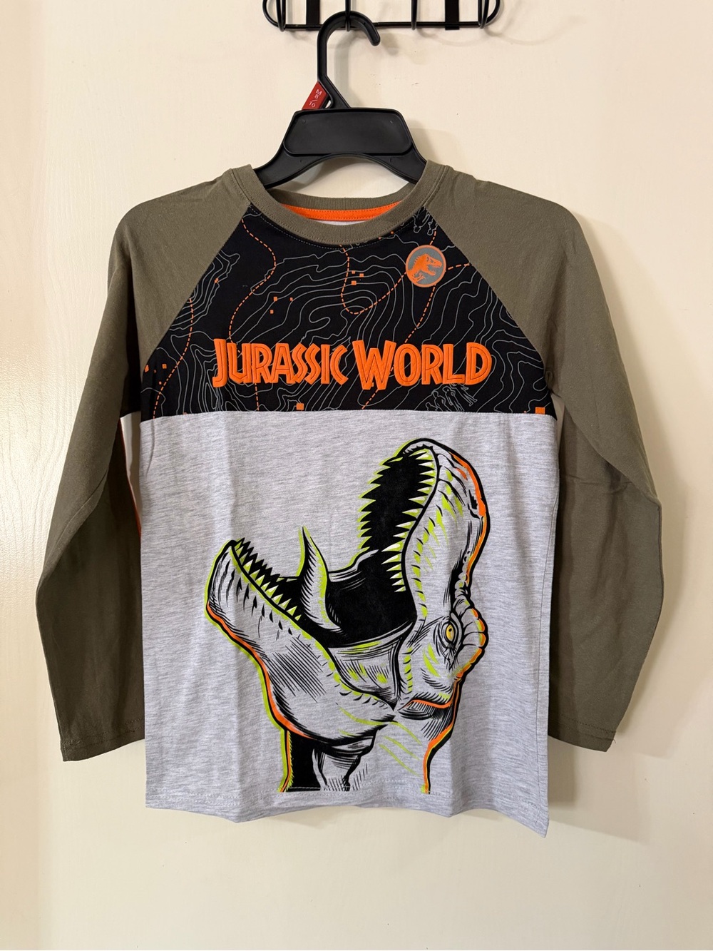Jurassic World Boys' Long Sleeve Dinosaur Tee - Olive/Gray (296)